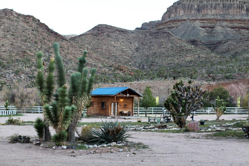 Grand Canyon Western Ranch Meadview ภายนอก รูปภาพ