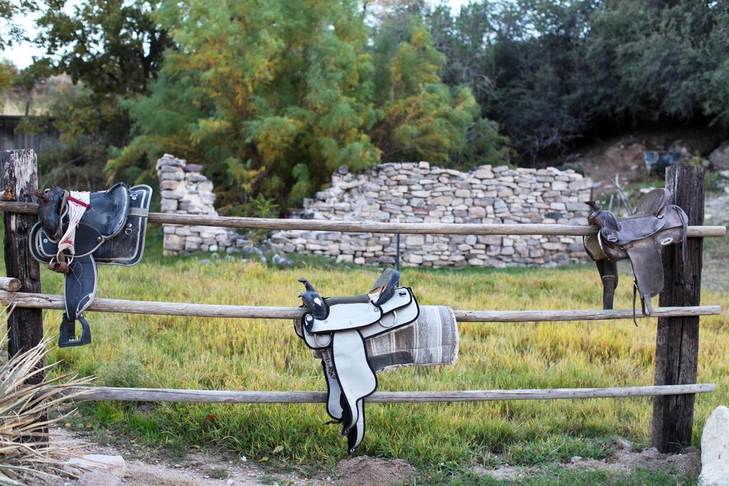 Grand Canyon Western Ranch Meadview ภายนอก รูปภาพ