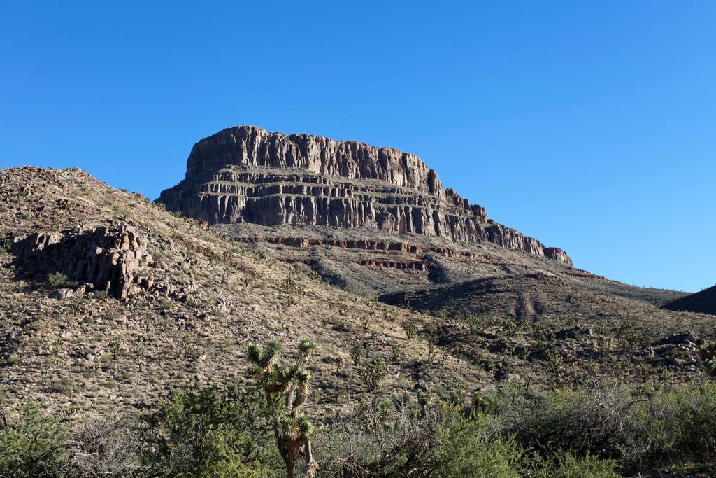 Grand Canyon Western Ranch Meadview ภายนอก รูปภาพ