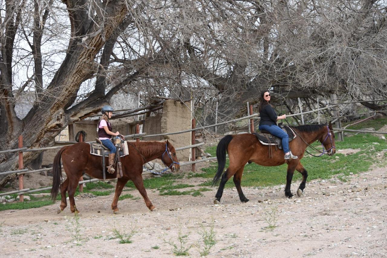 Grand Canyon Western Ranch Meadview ภายนอก รูปภาพ
